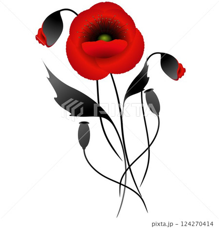 Bouquet of poppies. Bouquet of poppies. 124270414