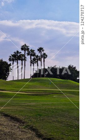 Big green golf park in Cairo, Egypt. Palms on the background Big green golf park in Cairo, Egypt. Palms on the background 124270717