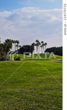 Big green golf park in Cairo, Egypt. Palms on the background  124270718