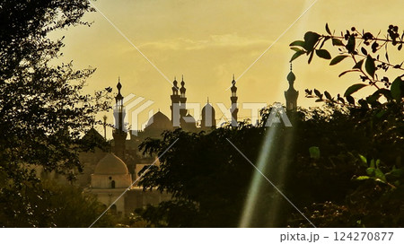 Panoramic view of Cairo from drone point of view. Mosques and rooftops of buildings. Cairo, Egypt Panoramic view of Cairo from drone point of view. Mosques and rooftops of buildings. Cairo, Egypt 124270877