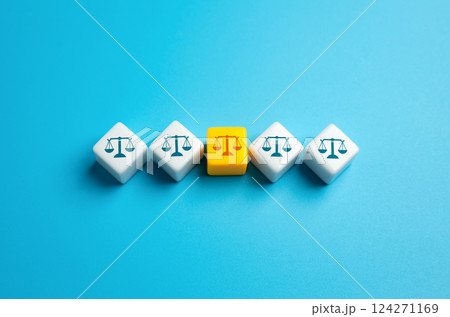 Judicial practice and precedents. Legal rulings shaping future court decisions. Represents case law, legal interpretation, and principles guiding judicial outcomes. 124271169