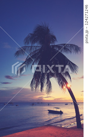 Tropical beach with coconut palm at sunset, color toning applied, Philippines. 124271246