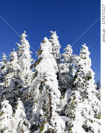 絶景・黒斑山稜線の雪景色 絶景・黒斑山稜線の雪景色 124272227