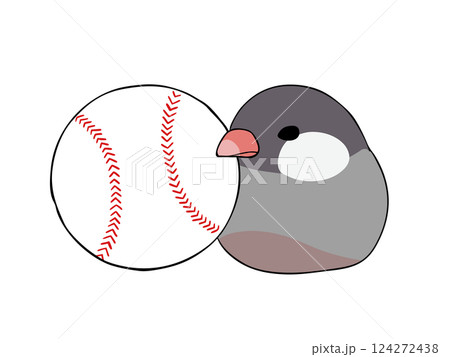 文鳥と野球ボール 文鳥と野球ボール 124272438