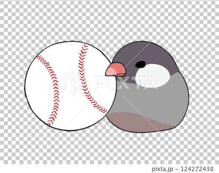 Java sparrow and baseball Java sparrow and baseball 124272438