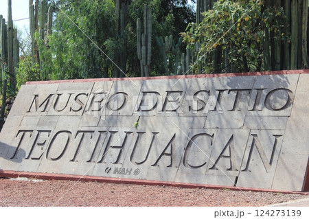 メキシコ「死者の日」年に一度のメキシコのお祭り　リメンバーミーの世界とタコス&ピラミッド満喫旅 124273139