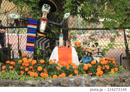 メキシコ「死者の日」年に一度のメキシコのお祭り　リメンバーミーの世界とタコス&ピラミッド満喫旅 124273140