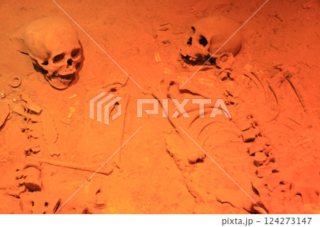 メキシコ「死者の日」年に一度のメキシコのお祭り　リメンバーミーの世界とタコス&ピラミッド満喫旅 124273147