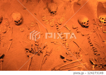 メキシコ「死者の日」年に一度のメキシコのお祭り　リメンバーミーの世界とタコス&ピラミッド満喫旅 124273149