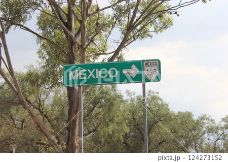 メキシコ「死者の日」年に一度のメキシコのお祭り　リメンバーミーの世界とタコス&ピラミッド満喫旅 124273152