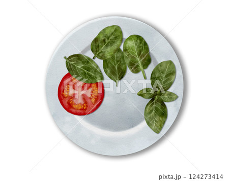 Fresh Tomato and Spinach Leaves beautifully arranged on a plate Minimalist food photography 124273414
