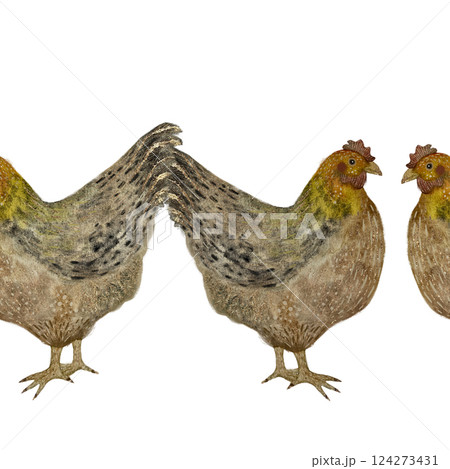 Multicolored colorful chickens, watercolor seamless border Multicolored colorful chickens, watercolor seamless border 124273431