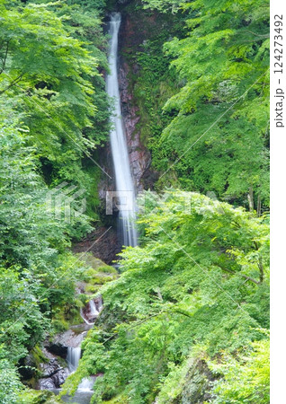 夏の秩父華厳の滝 夏の秩父華厳の滝 124273492