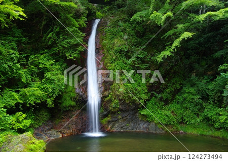 夏の秩父華厳の滝 夏の秩父華厳の滝 124273494