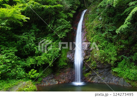 夏の秩父華厳の滝 夏の秩父華厳の滝 124273495
