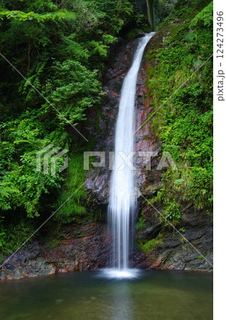 夏の秩父華厳の滝 夏の秩父華厳の滝 124273496