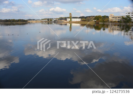 牛久沼 茨城県龍ヶ崎市 124273536