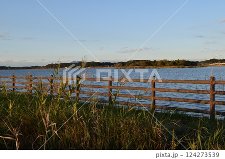 牛久沼 茨城県龍ヶ崎市 牛久沼 茨城県龍ヶ崎市 124273539