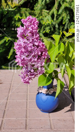 Close-up of lilac flowers. Branches of lilac blooming bouquets of flowers in spring. Vertical photo. High quality photo 124273661