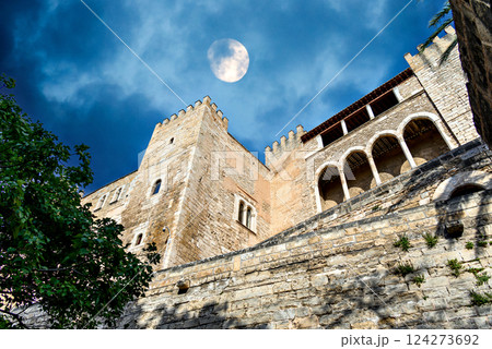 Royal Palace of La Almudaina, Palma de Mallorca Spain Royal Palace of La Almudaina, Palma de Mallorca Spain 124273692