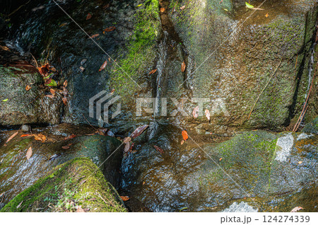 山奥の小さな滝 山奥の小さな滝 124274339
