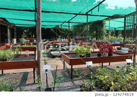 ボツワナの首都ハボロネにあるサニタスティーガーデン 124274619