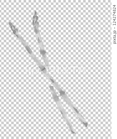 アスパラガス　手描きの食材モノクロイラスト 124274824