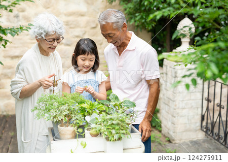 ガーデニングをするシニア夫婦と子供 ガーデニングをするシニア夫婦と子供 124275911