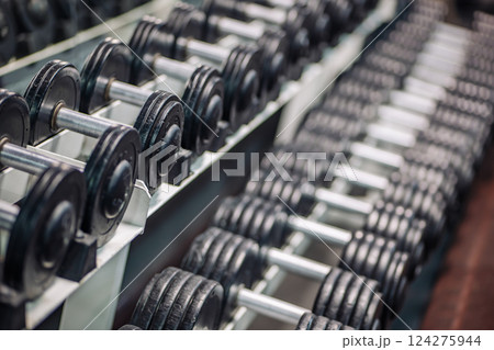 Metallic dumbbells lined up precisely on structured fitness rack, showcasing organized strength training space 124275944