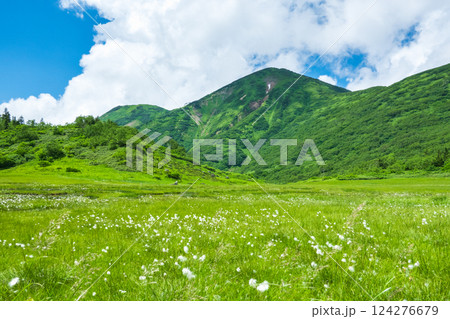 夏の火打山・妙高山登山(天狗の庭と火打山) 夏の火打山・妙高山登山(天狗の庭と火打山) 124276679