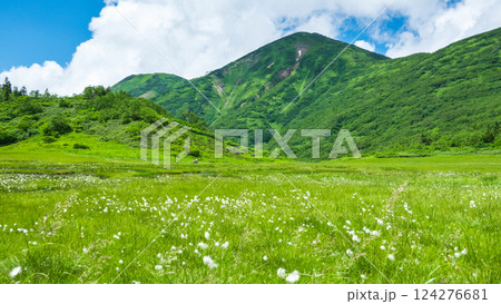 夏の火打山・妙高山登山（天狗の庭と火打山） 124276681