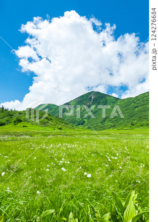 夏の火打山・妙高山登山（天狗の庭と火打山） 124276684