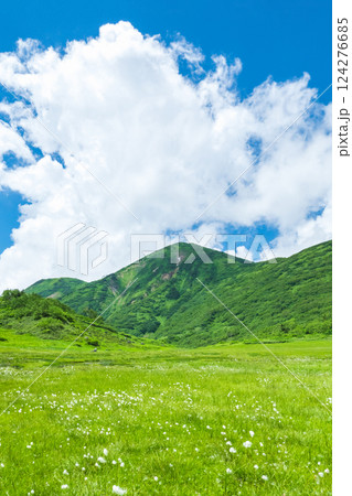 夏の火打山・妙高山登山（天狗の庭と火打山） 124276685