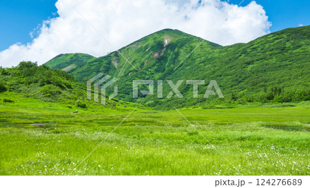 夏の火打山・妙高山登山（天狗の庭と火打山） 124276689