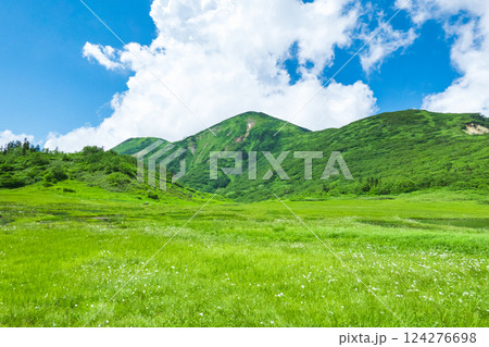 夏の火打山・妙高山登山（天狗の庭と火打山） 124276698