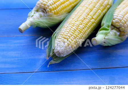 Sweet corn, Fresh yellow corn Sweet corn, Fresh yellow corn 124277044