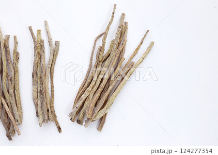 Dang Shen or Codonopsis pilosula, Chinese herbal medicine 124277354