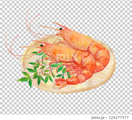 水彩插圖：珍貴的海鮮：甜蝦 124277577