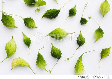 Balsam pear, Bitter cucumber, Leprosy gourd Balsam pear, Bitter cucumber, Leprosy gourd 124277627