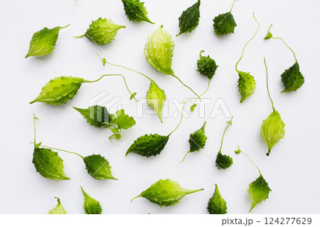 Balsam pear, Bitter cucumber, Leprosy gourd Balsam pear, Bitter cucumber, Leprosy gourd 124277629
