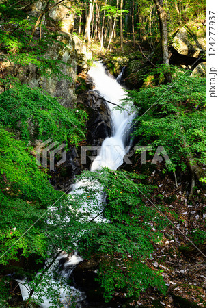 新緑の森と美しい清流　滝川渓谷　銚子の口滝 124277937