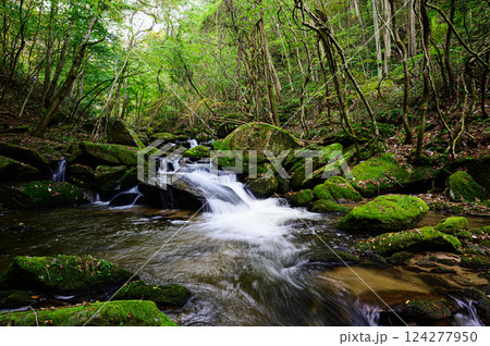 新緑の森と美しい清流　滝川渓谷 124277950