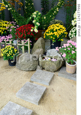 笠間の菊まつり 124277998