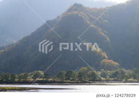 紅葉した森と穏やかな湖 秋元湖 紅葉した森と穏やかな湖 秋元湖 124278029