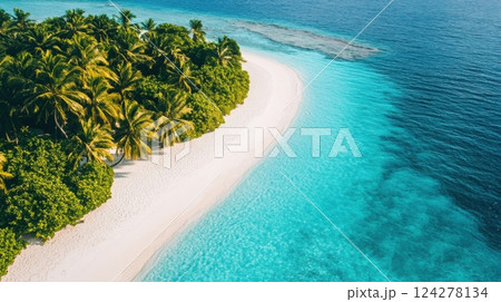 A beautiful beach with palm trees and a blue ocean 124278134