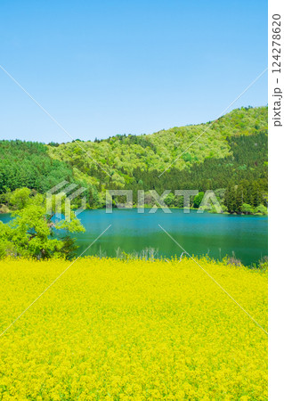 春の北竜湖 124278620