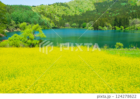 春の北竜湖 春の北竜湖 124278622