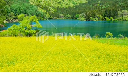 春の北竜湖 124278623