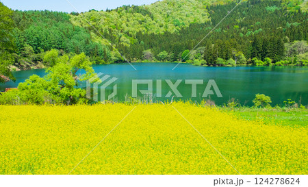 春の北竜湖 124278624