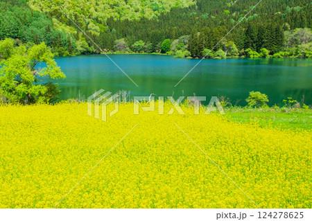 春の北竜湖 124278625